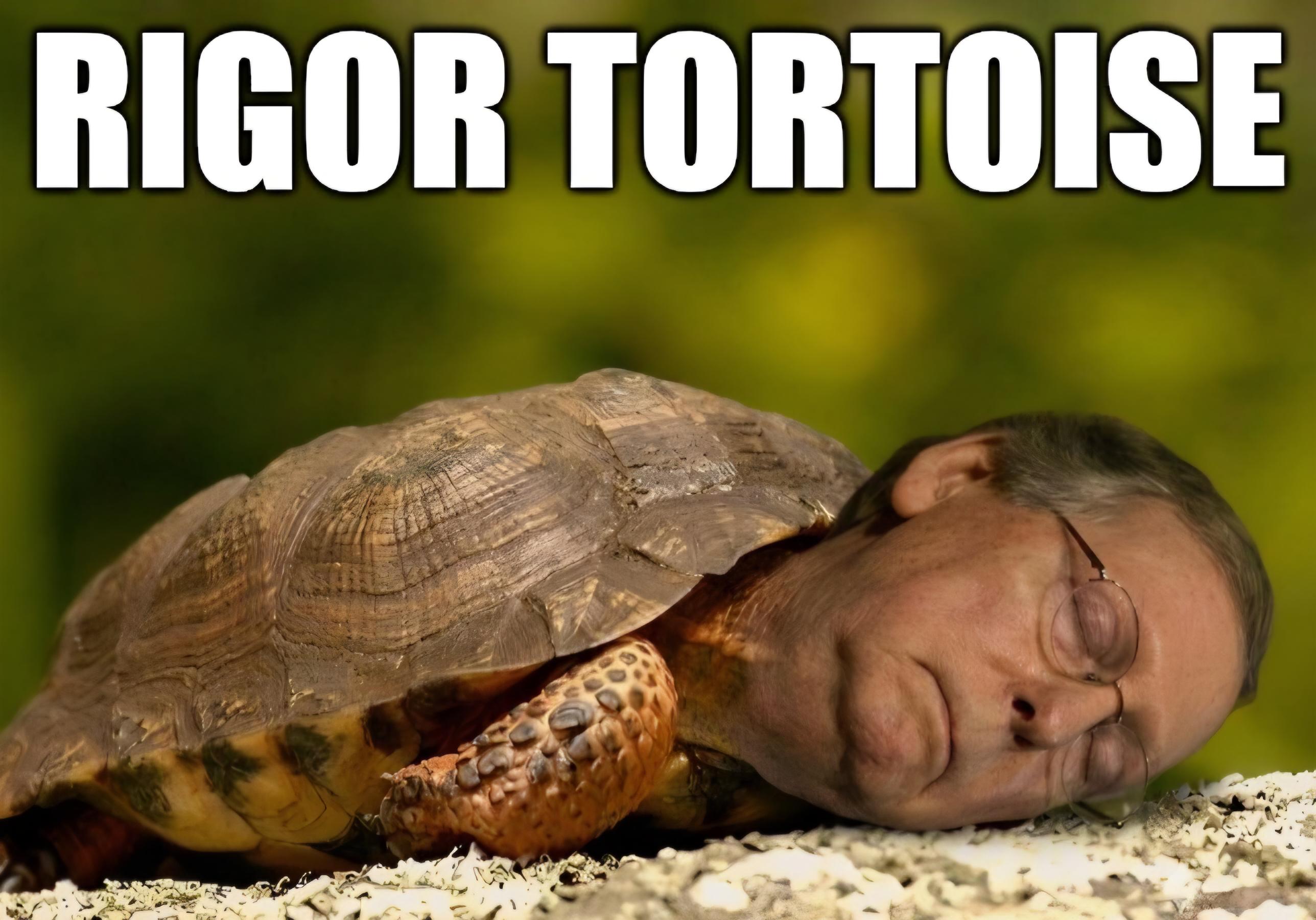 tortoise